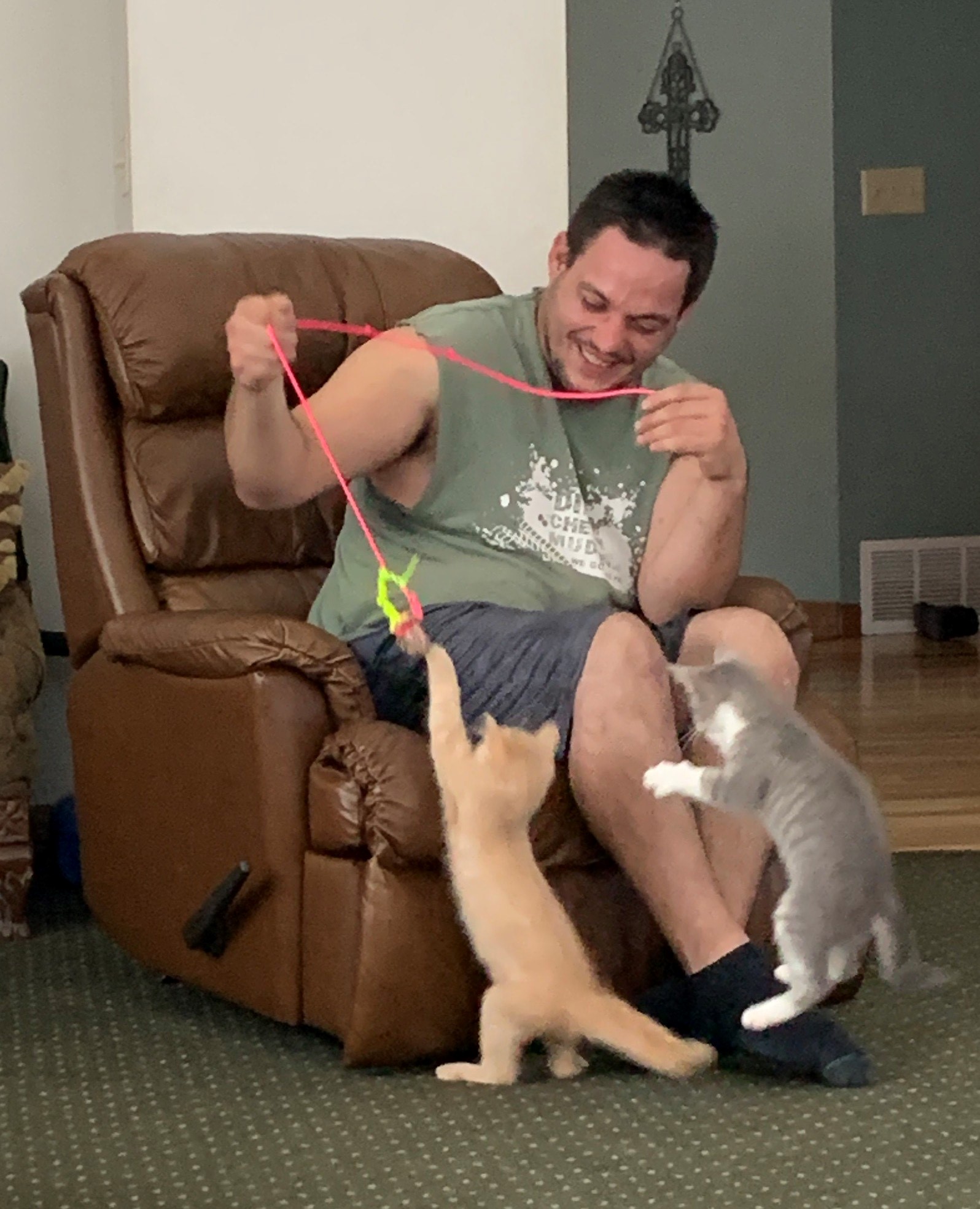 playing with cats